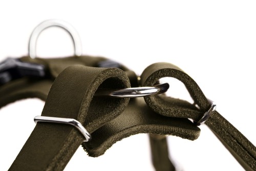 Hunter-Szelki-Aalborg-oliwkowe-ze-skory-bydlecej (1).jpg