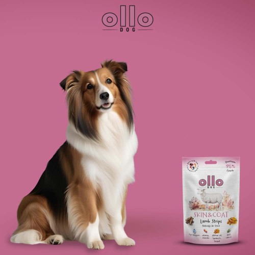 sklad-karmy-przysmaki-funkcyjne-dla-psa-ollo-skin-coat-lamb-strips-pies.jpg