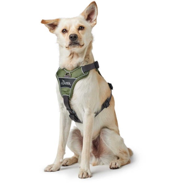Hunter-Szelki-dla-psa-Divo-zielone (4).jpg