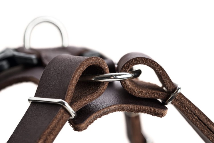 Hunter-Szelki-Aalborg-ciemny-braz-ze-skory-bydlecej (2).jpg