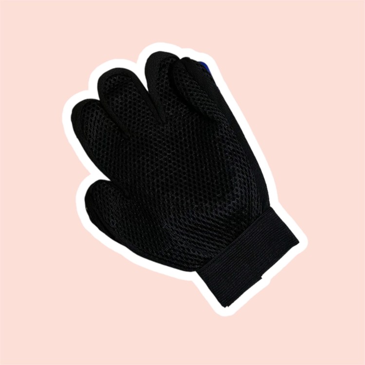 image_6483441 (1)1.JPG