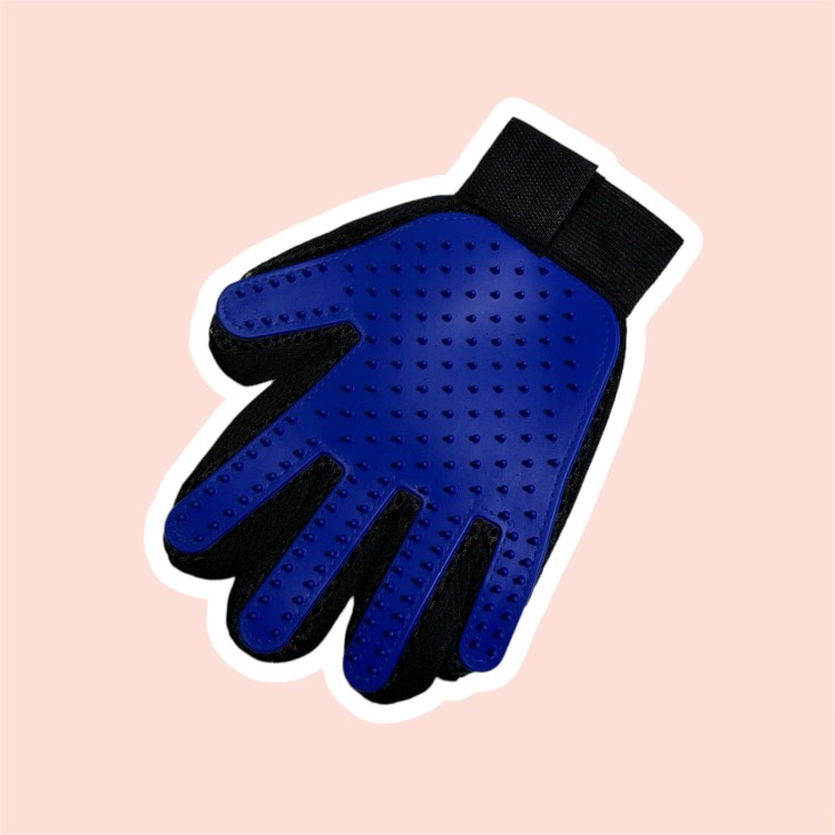 image_6483441 (5).JPG