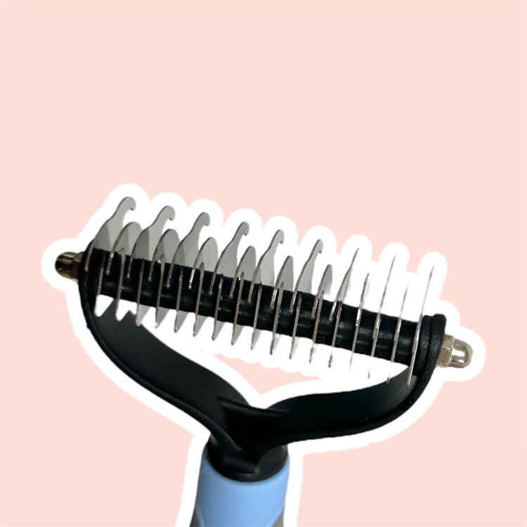 image_6483441 (3).JPG