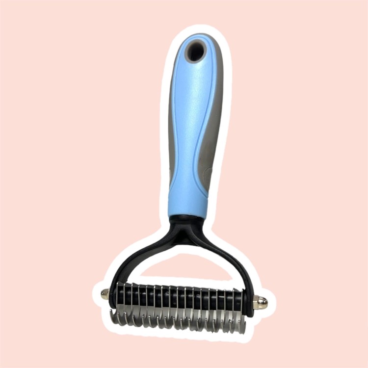 image_6483441 (4).JPG