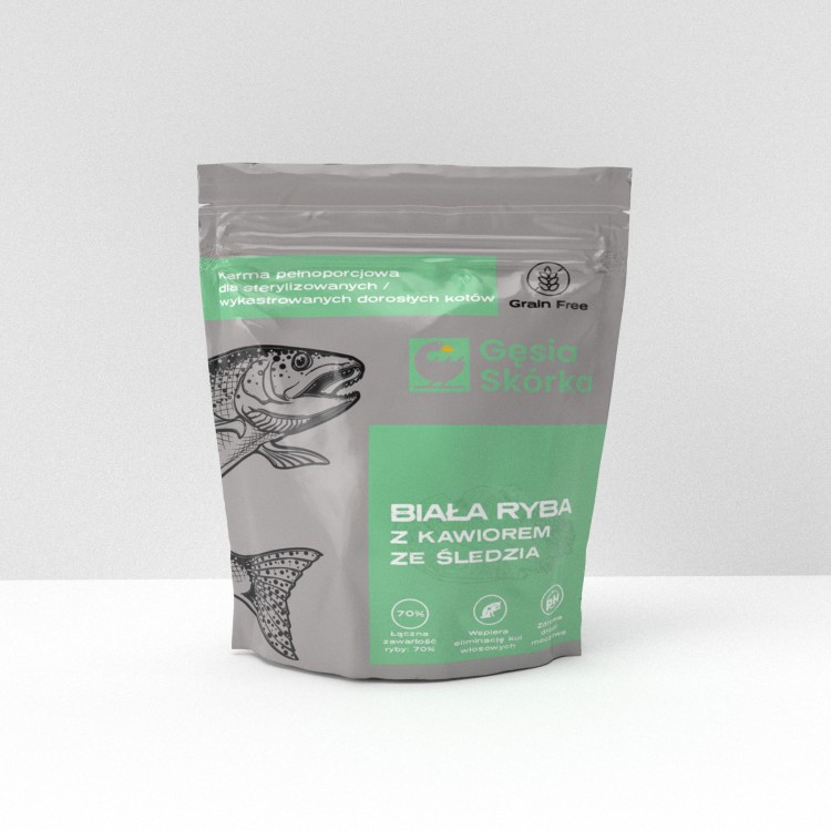 Ryba-Current View.jpg