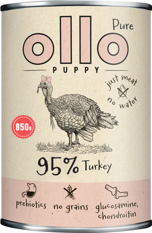 puppy-pure-turkey-850.png