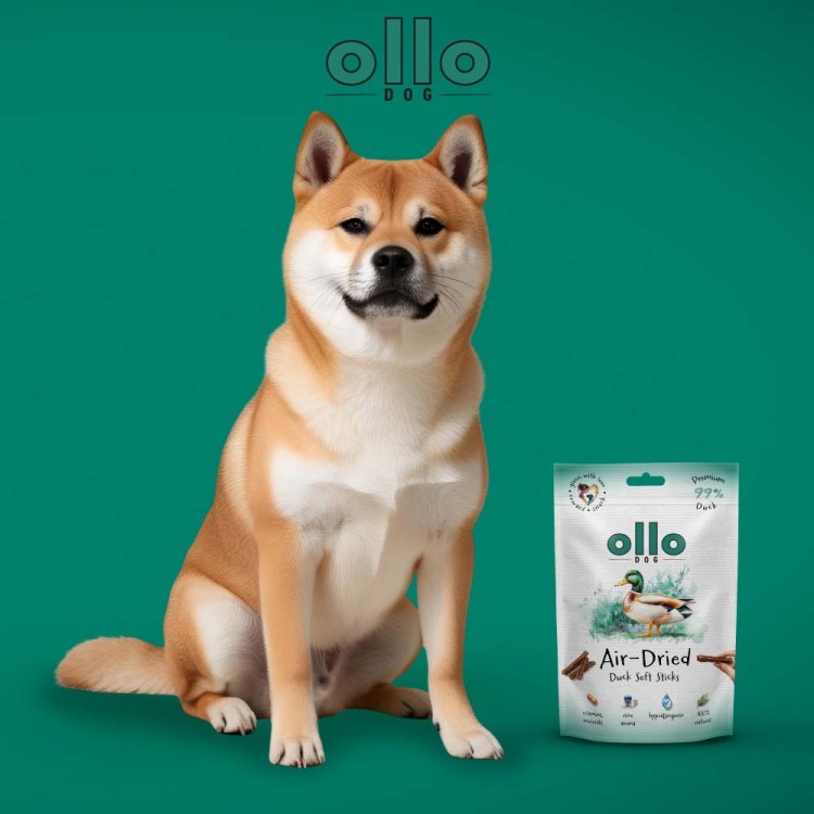 sklad-karmy-przysmaki-dla-psa-ollo-duck-sticks-pies.jpg