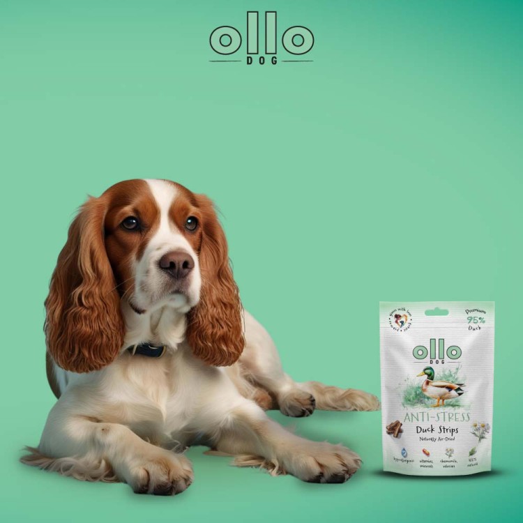 sklad-karmy-przysmaki-funkcyjne-dla-psa-ollo-antistress-duck-strips-pies.jpg
