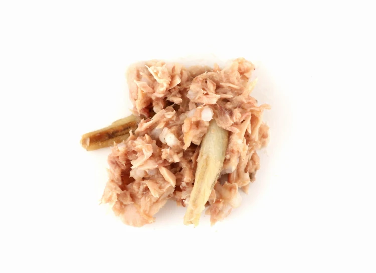 Mackerel and Anchovy (9).JPG