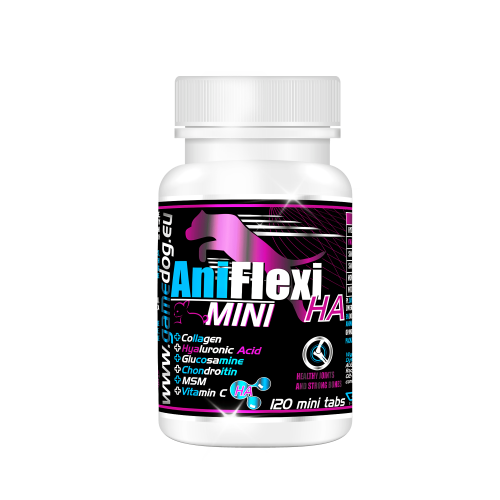 AniFlexi-HA-MINI.png
