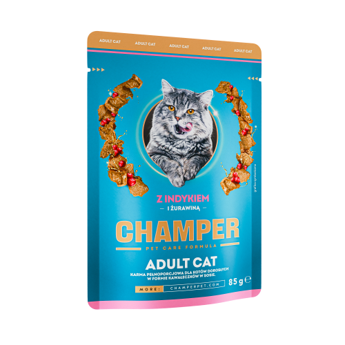 CHAMPER_CAT_INDYK.png