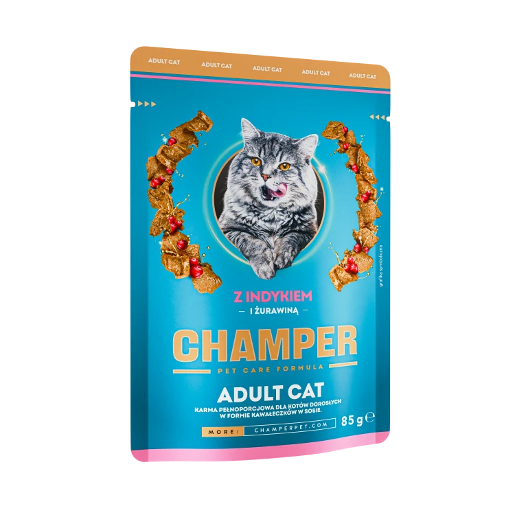 CHAMPER_CAT_INDYK.png