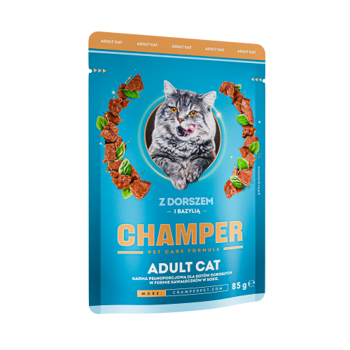 CHAMPER_CAT_DORSZ.png