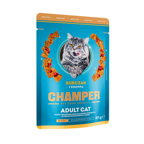 CHAMPER_CAT_KURCZAK.png