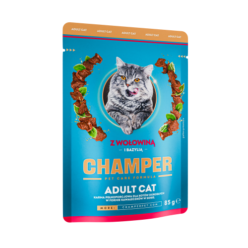 CHAMPER_CAT_WOLOWINA.png