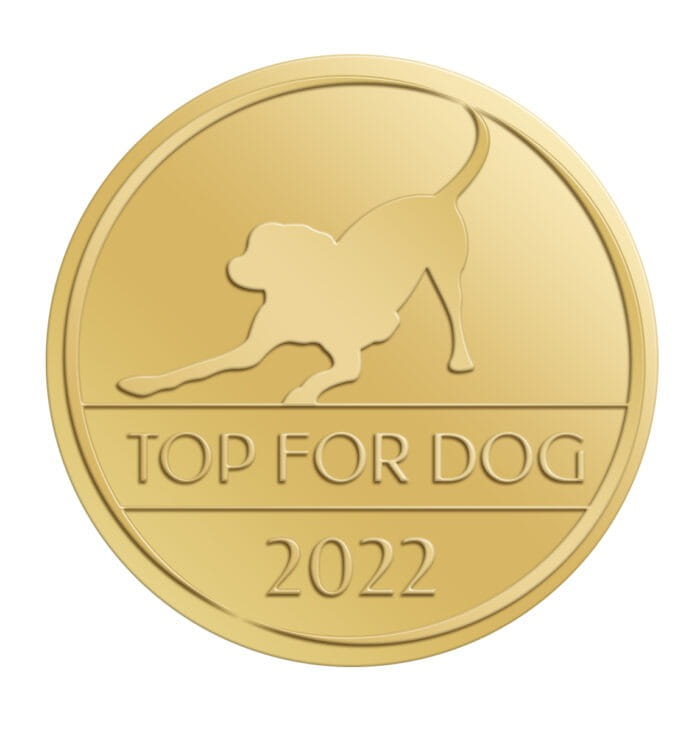 TOP-FOR-DOG-2022-zloto-700x731.jpg