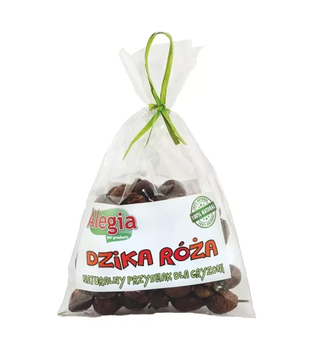 dzika-roza.webp