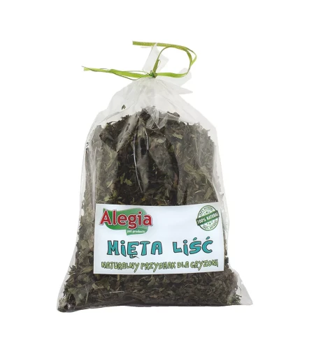 liscie-miety.webp