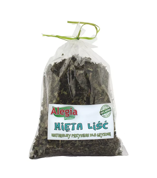 liscie-miety.webp