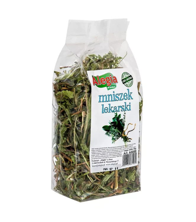 mniszek-lekarski-bok.webp
