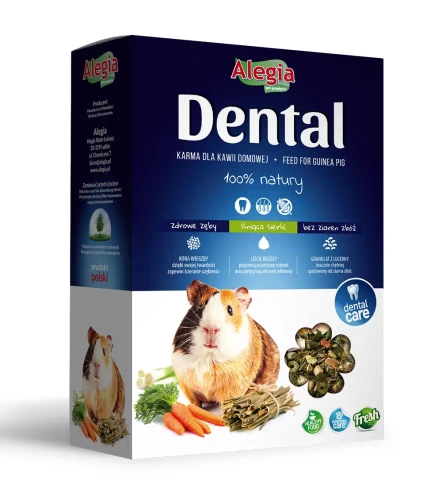dental-kawia-domowa.webp