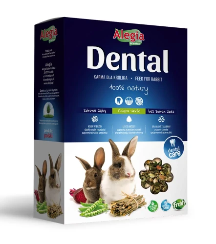 dental-krolik.webp