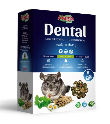 dental-szynszyl.webp