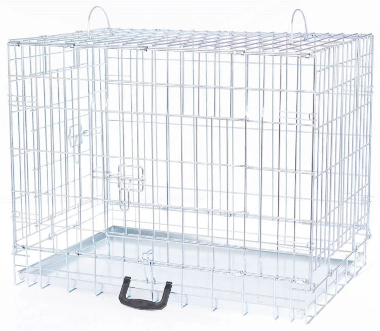 DOG-3.jpg