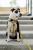 DSC_9731-Edit.jpg