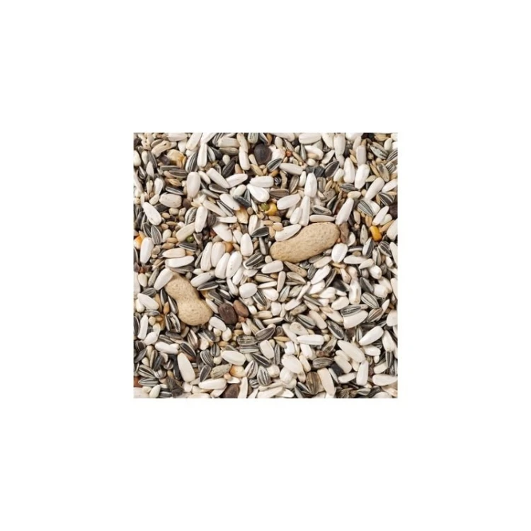 dn-60-parrots-basic-15kg-papuga-duza-z-orzechami-podstawowa.jpg