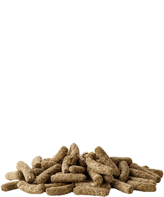 VLCUNICOMPLETEGRAN.png