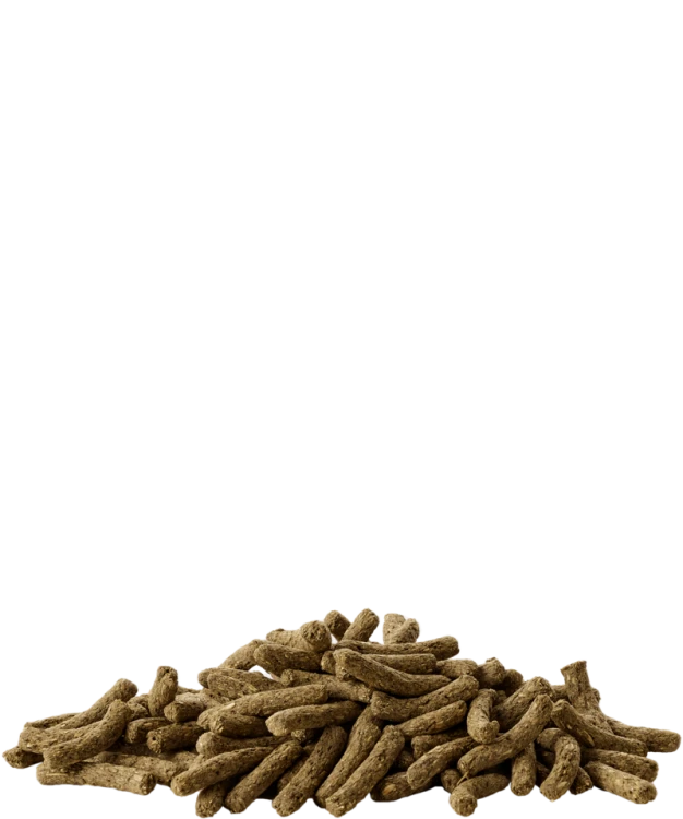 5410340613085food.png