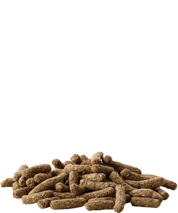 5410340612514food.png