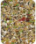 Amazon_Parrot_Loro_Parque_Mix1.png