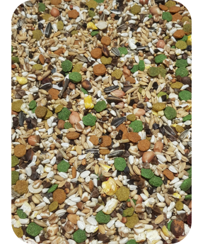 Australian_Parrot_Loro_Parque_Mix.png