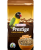 African_Parakeet_Loro_Parque_Mix.png